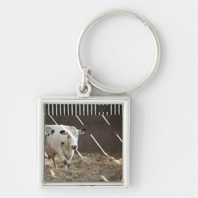 Chaveiro Vaca de leiteria (Frente)