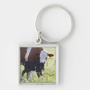 Chaveiro Vaca e vitela