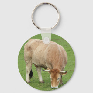 Chaveiro Vaca Nantaise num campo