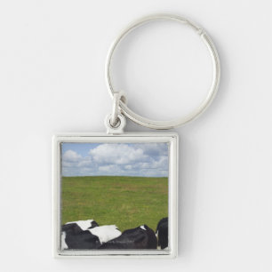 Chaveiro Vacas em um pasto