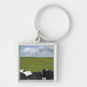Chaveiro Vacas em um pasto