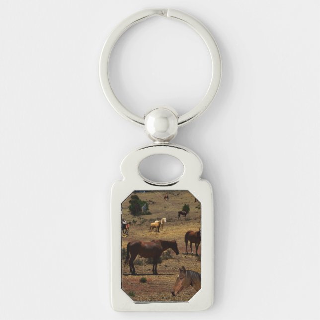 Chaveiro Vale Dos Cavalos, Anel Chave (Frente)