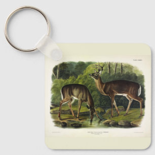 Chaveiro Veado comum (branco) - Quadrupedes de Audubon