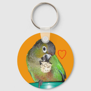 Chaveiro Verde-cheeked do conure