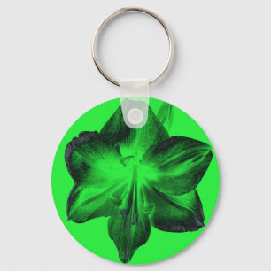 Chaveiro Verde Escuro sobre o Amaryllis Verde Claro