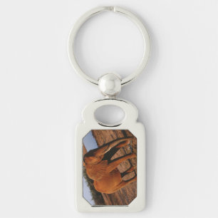 Chaveiro Vermelho Grande