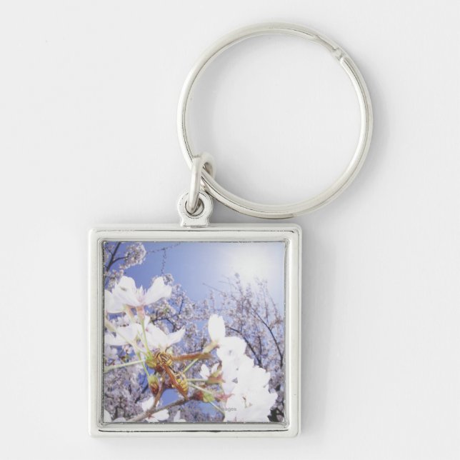 Chaveiro Vespa na flor de cerejeira, fim acima (Frente)