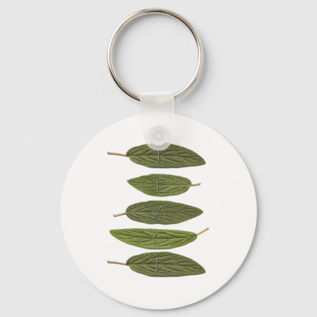 Chaveiro VIBIRNUM Sai da PAZ (Frente)