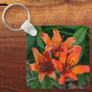 Chaveiro Vibrantes Flores Laranja, Lírios de Dia