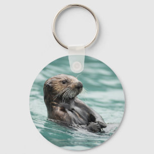 Chaveiro Vigiando a lontra marítima