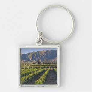 Chaveiro Vinhas de Cabernet Sauvignon em Huailai Rongchen