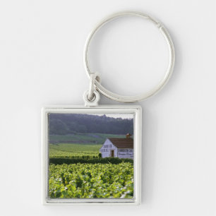 Chaveiro vinhedo Chambertin Clos de Beze Grand Cru com