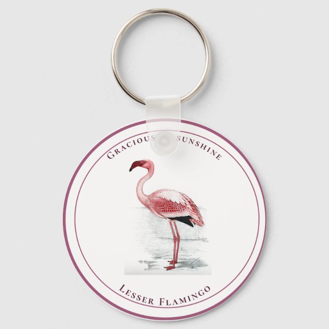 Chaveiro Vintage Lesser Flamingo Gracioso como Sol (Frente)