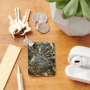 Chaveiro Vintage Sapos e sapos Batrachia por Ernst Haeckel