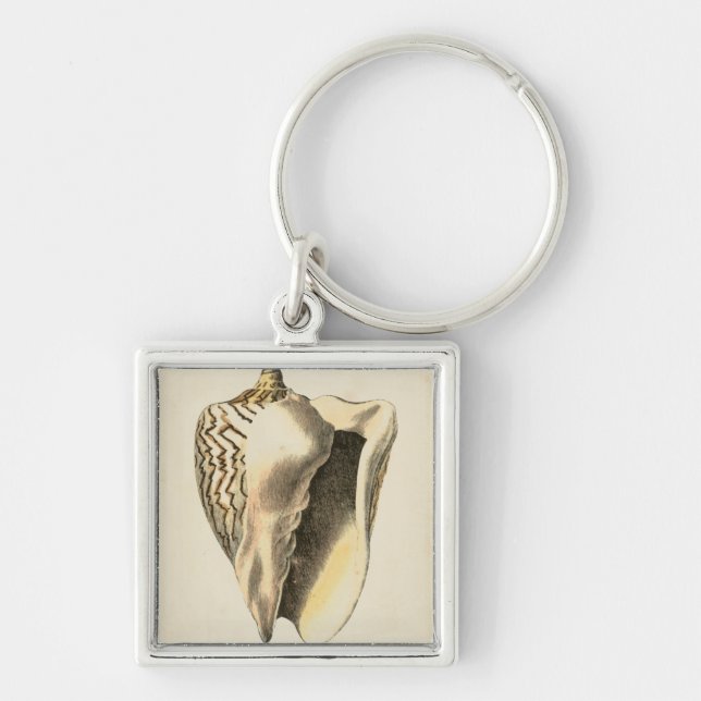 Chaveiro Vintage Sepia Conch Shell (Frente)