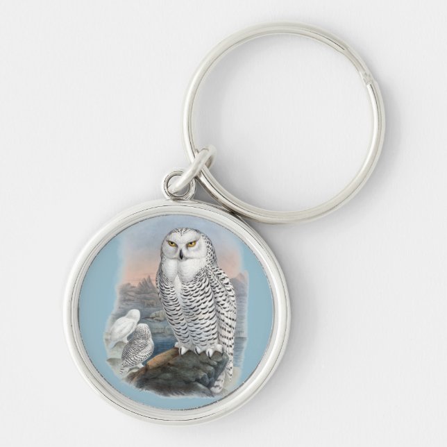 Chaveiro Vintage Snowy Owl Gould (Frente)