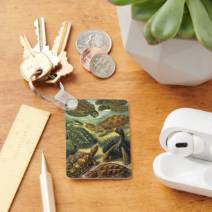 Chaveiro Vintage Tortoises and Sea Turtles por Ernst Haecke