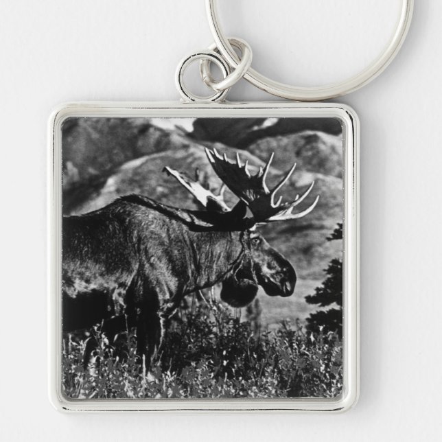 Chaveiro Vintage USA Alaska touro 1970 (Frente)