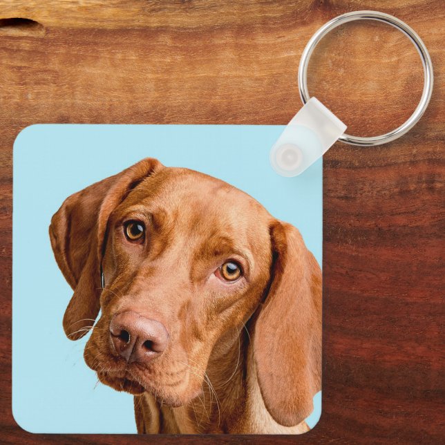 Chaveiro Visla (Verso)