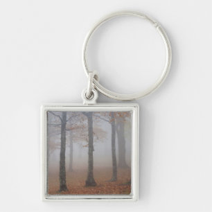 Chaveiro Vista de outono de floresta nebulosa, avô