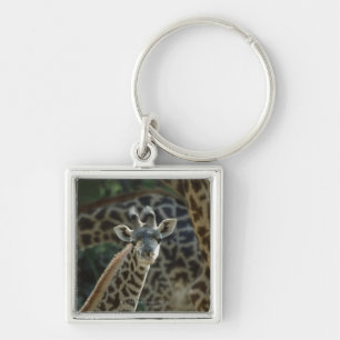 Chaveiro Vitela do girafa com girafas