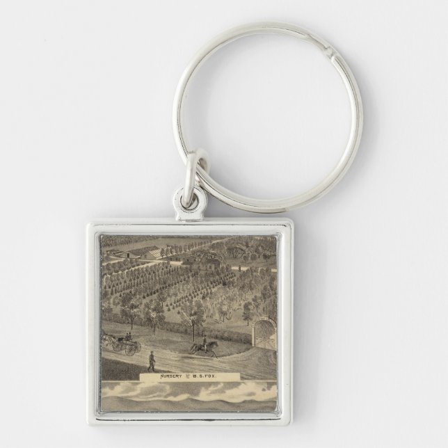 Chaveiro Viveiros de raposa, res, pomar (Frente)