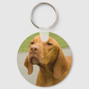 Chaveiro Vizsla