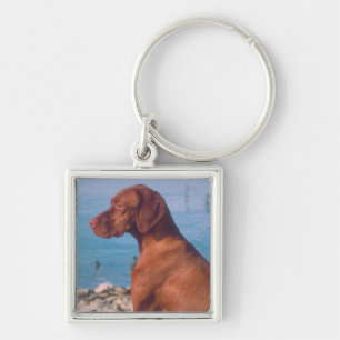 Chaveiro Vizsla