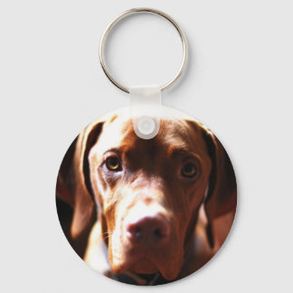 Chaveiro VIZSLA - cadeia-chave