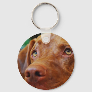 Chaveiro VIZSLA - cadeia-chave