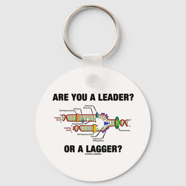 Chaveiro Você É Líder? Ou Um Lagger? (Replicação de DNA) (Frente)