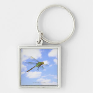 Chaveiro Vôo verde do darner (junius de Anax) contra