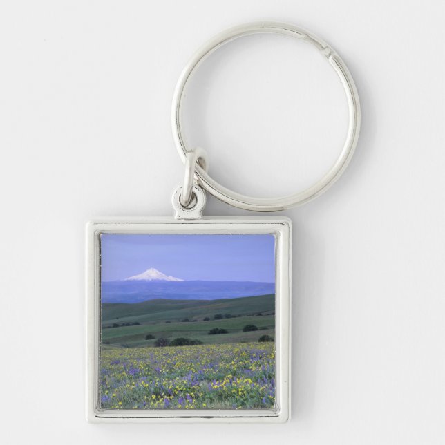 Chaveiro WA, Condado de Klickitat, Dalles Mountain Ranch, (Frente)