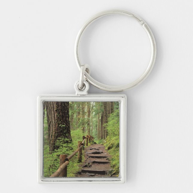 Chaveiro WA, Parque Nacional Olímpico, Vale de Sol Duc, flo (Frente)