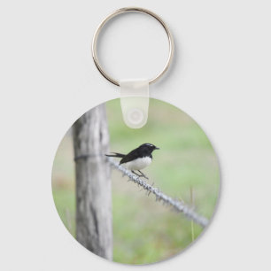CHAVEIRO WAGTAIL QUEENSLAND AUSTRÁLIA DE WILLIE
