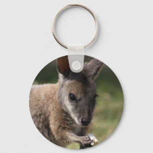 Chaveiro Wallaby