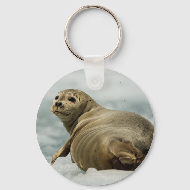 Chaveiro Wary Seal (Frente)