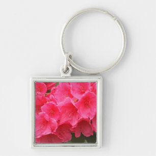 Chaveiro Washington, Seattle, Puget Sound, Discovery Park