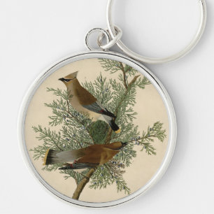 Chaveiro Waxwing de cedro de Audubon