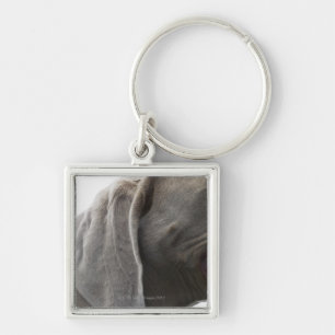 Chaveiro Weimaraner 3