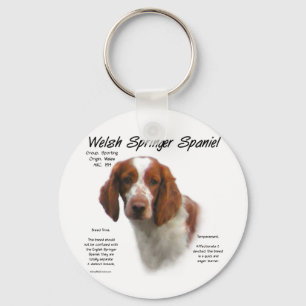 Chaveiro Welsh Springer Spaniel History Design