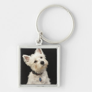 Chaveiro Westie (terrier ocidental das montanhas) com colar