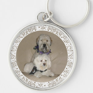 Chaveiro Wheaten Terrier e Havanese