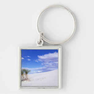 Chaveiro White Sands NM, Novo México, EUA