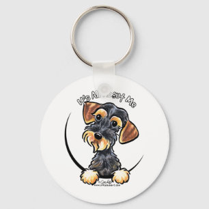 Chaveiro Wild Boar Wirehaired Dachshund É Tudo Sobre Mim