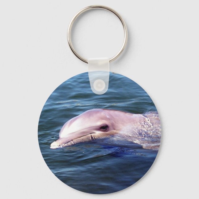Chaveiro Wild Dophin (Frente)