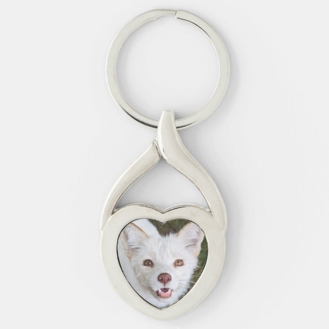 Chaveiro Wild Paws Coconut Metal Keychain (Frente)