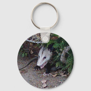 Chaveiro Wild Possum