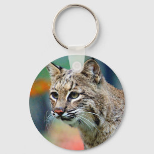 Chaveiro Wildlife Bobcat Photo