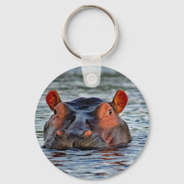 Chaveiro Wildlife Hippo Water Photo